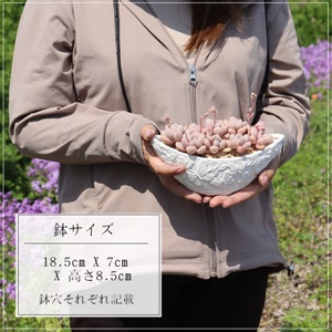 ȑ̃v[g,ȑ̊񂹐Aʔ,ԃv[g,Ԃ,̓v[g,񂹐A蕨,蕨,̓,̓,},񂹐Aʔ,JXjʔ,Å񂹐A̔,ÃVvfUC̔,iɂƂ