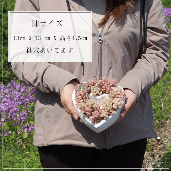 n[gMtg̊񂹐A bh,}蕨,Ԃ,̓v[g,񂹐A蕨,蕨,̓,̓,},Å񂹐A,ȑʔ,Å񂹐Aʔ,̊񂹐Aʔ,JXj,zj,]Ώj,aj,hV̓j,Vzj,wj,nEB蕨,a蕨,Ãv[g̔,iɂƂ