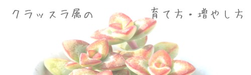 NbẌĕE₵[i