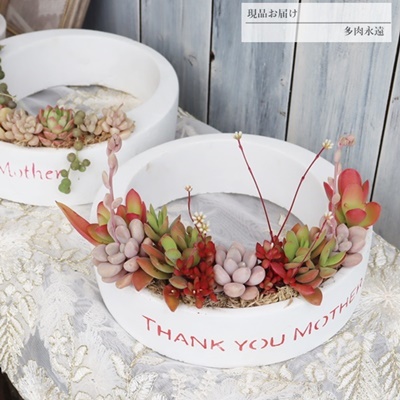 T[N[X̊񂹐A bh,ȑ̃v[g,,Ԃ,̓v[g,񂹐A蕨,蕨,̓,̓,},񂹐Aʔ,Ȋ񂹐Aʔ,JXj,eȊ񂹐A,Vzj,iɂƂ