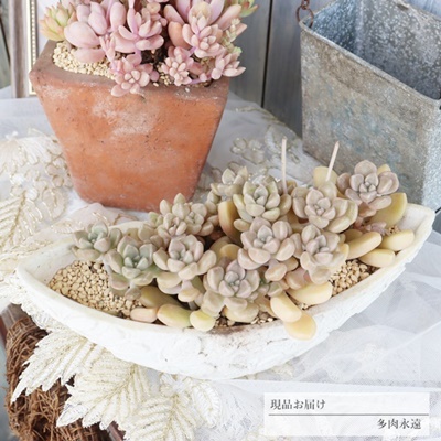 o^tC̊񂹐A h[UG̊񂹐Aʔ,LO,ȑ̃v[g,ȑ̊񂹐Aʔ,ԃv[g,Ԃ,̓v[g,񂹐A蕨,蕨,̓,̓,},񂹐Aʔ,JXjʔ,Å񂹐A̔,Ãv[g̔,iɂƂ