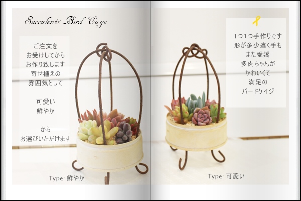 ジャンクバードケイジ,ジャンクバードケイジ,ジャンクバードケイジ販売,可愛いジャンクバードケイジ,ポップなジャンクバードケイジ,多肉ジャンクバードケイジ,おしゃれ多肉ジャンク缶,ジャンク多肉寄せ植え,ー多肉永遠